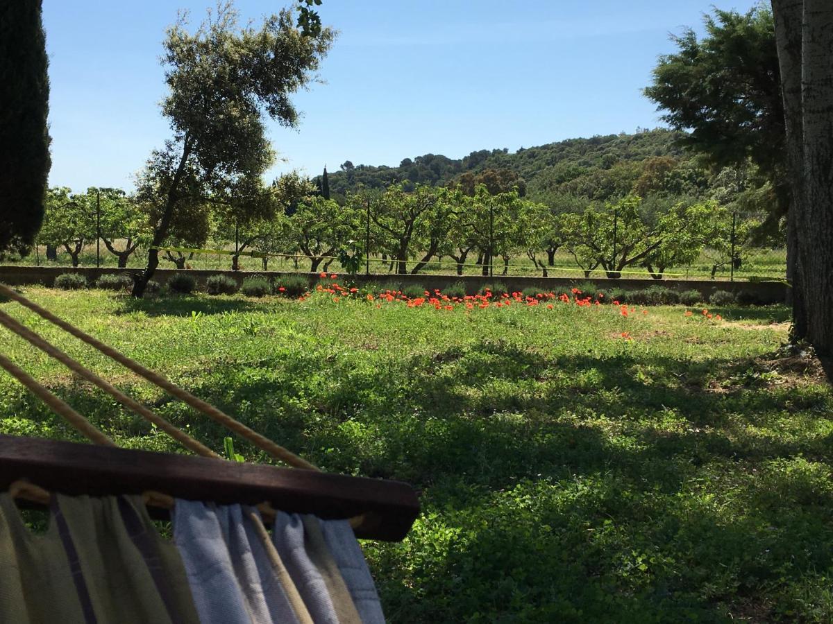 Le Chene Et L'Eau Bed & Breakfast Roquebrune-sur-Argens Exterior foto