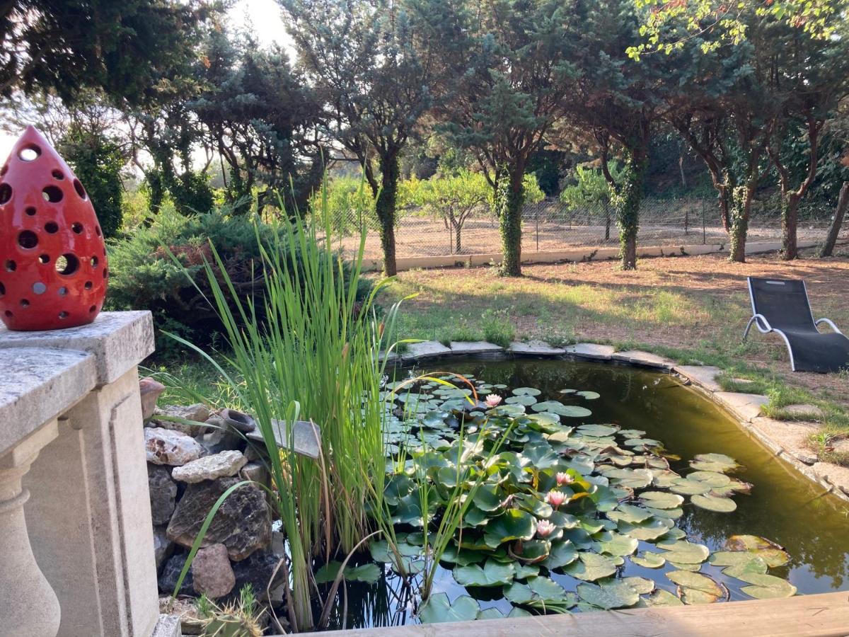 Le Chene Et L'Eau Bed & Breakfast Roquebrune-sur-Argens Exterior foto