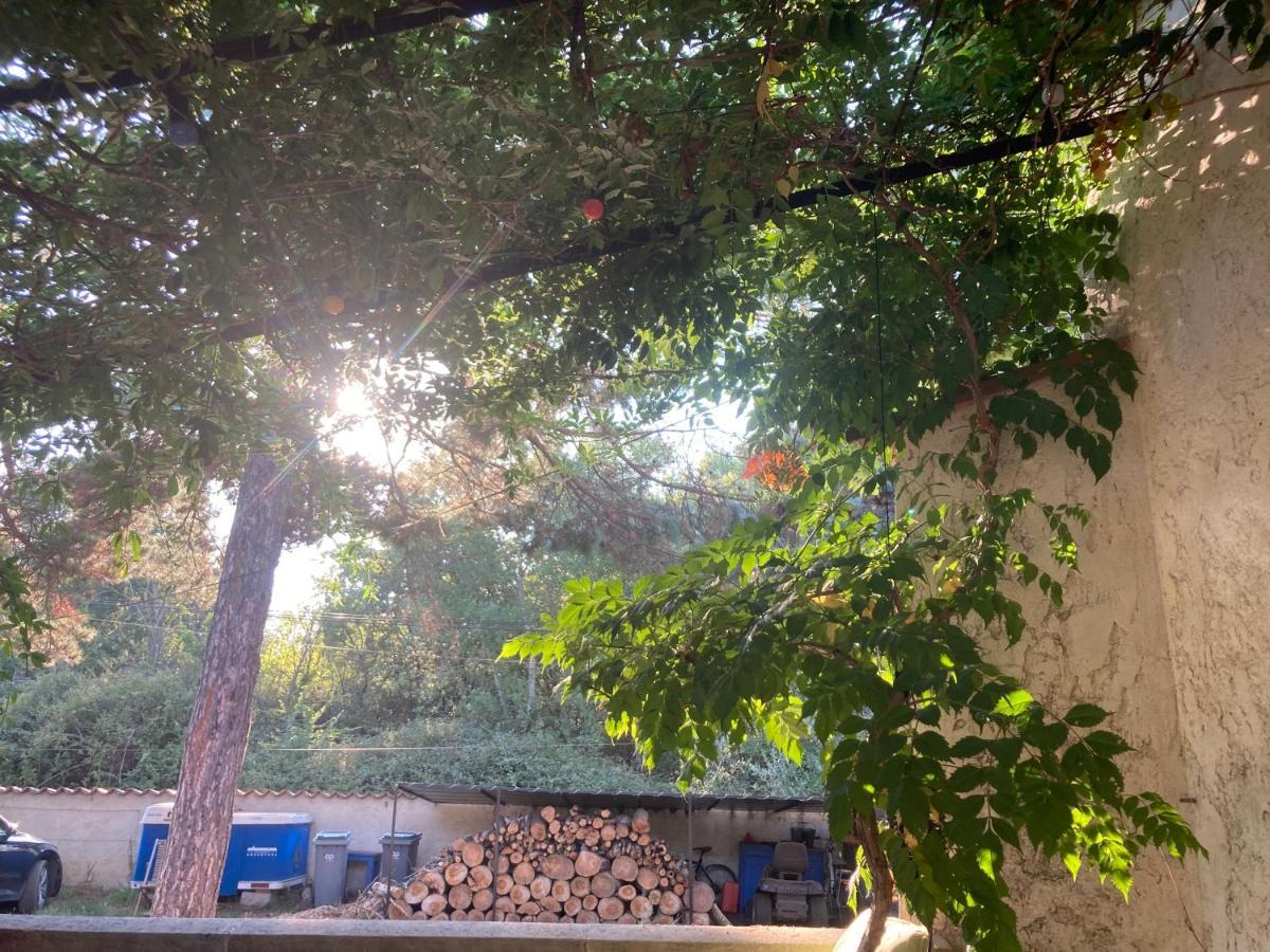 Le Chene Et L'Eau Bed & Breakfast Roquebrune-sur-Argens Exterior foto