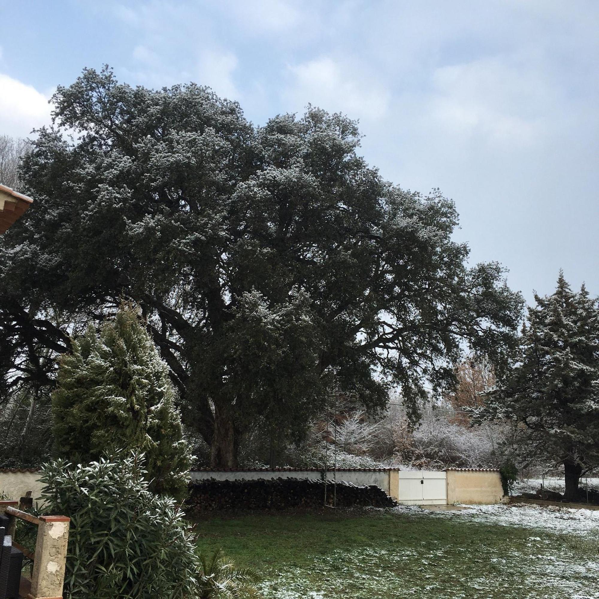 Le Chene Et L'Eau Bed & Breakfast Roquebrune-sur-Argens Exterior foto